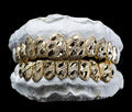 NUGGET CUT GRILLZ (SILVER)