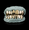 10k Gold Grillz ANY DESIGN